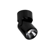 Потолочный светильник Favourite Projector 1979-1U