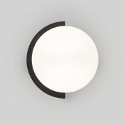 Настенный светильник Eurosvet Moity 70150/1 черный