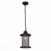 Уличный подвесной светильник ST LUCE LASTERO SL080.403.01