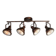 Потолочный светильник Favourite Industria 1898-4C