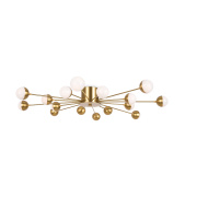 Потолочный светильник Freya Celebrity FR5242CL-16BS
