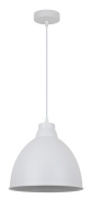 Подвесной светильник Arte Lamp Braccio A2055SP-1WH