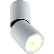 Спот Divinare Gavroche Posto 1800/03 PL-1