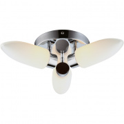 Потолочный светильник Arte Lamp Aqua A9502PL-3CC