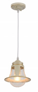 Подвесной светильник Arte Lamp A7022SP-1WG