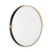 Настенно-потолочный светильник Sonex Olidi Black 7647/DL