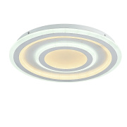 Потолочный светильник F-Promo Ledolution 2272-5C