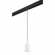 Трековый светильник Lightstar Pentola (803030+595007) PRO803030