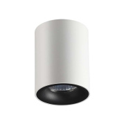Потолочный накладной светильник Odeon Light TUBORINO 3569/1C