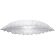Потолочный светильник Arte Lamp Botticelli A2188PL-2CC