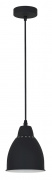 Подвесной светильник Arte Lamp Braccio A2054SP-1BK