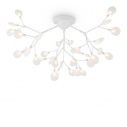 Потолочный светильник Freya Florencia FR5049CL-36W1