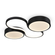 Потолочный светильник Freya Cosmic FR10015CL-L63B