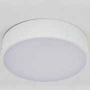 Настенно-потолочный светодиодный светильник Citilux Тао CL712R120