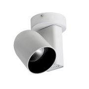 Потолочный светильник Favourite Projector 1984-1U