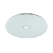 Потолочный светильник Sonex Roki Muzcolor 4629/CL