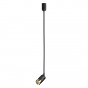 Потолочный светильник Odeon Light Ad Astrum 4349/1C
