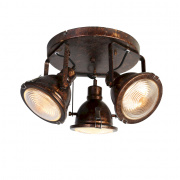Потолочный светильник Favourite Industria 1898-3C