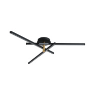 Потолочный светильник Lumion Parker 6547/56CL