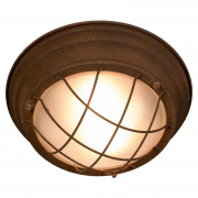 Потолочный светильник Lussole Loft Huntsville LSP-8068