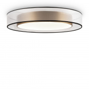 Потолочный светильник Freya Zoticus FR6005CL-L48G
