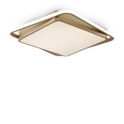 Потолочный светильник Freya Yaku FR10026CL-L93G