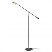 Напольный светильник Odeon Light Denzel 4321/20FL
