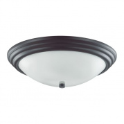 Настенно-потолочный светильник Lumion Kayla 5263/3C