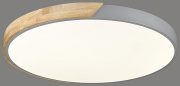 Потолочный светодиодный светильник Velante 445-267-01