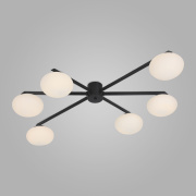 Потолочный светильник Eurosvet Opaline 70220/6 черный
