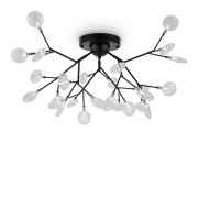 Потолочный светильник Freya Florencia FR5049CL-27B