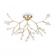Потолочный светильник Freya Florencia FR5049CL-36G