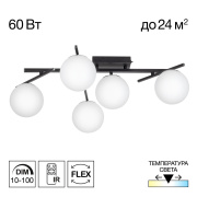 Потолочная светодиодная люстра Citilux Dorsy CL223152