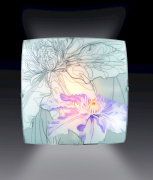 Настенно-потолочный светильник Sonex Iris 1230