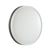 Настенно-потолочный светильник Sonex Nohava Brown 7668/DL