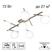 Потолочная светодиодная люстра Citilux Dorsy CL223161