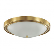 Настенно-потолочный светильник Lumion Nina 5259/4C