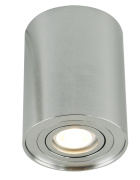 Потолочный светильник Arte Lamp A5644PL-1SI