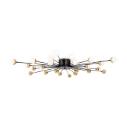 Потолочный светильник Freya Celebrity FR5242CL-24B