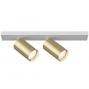 Потолочный светильник Maytoni Technical Focus S C051CL-2WG