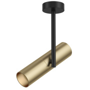 Потолочный светильник Maytoni Technical Elti C020CL-01GB