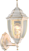 Уличный настенный светильник Arte Lamp Pegasus A3151AL-1WG