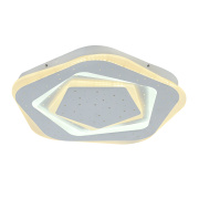 Потолочный светильник F-Promo Ledolution 2281-5C