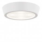 Потолочный светодиодный светильник Lightstar Urbano 214902
