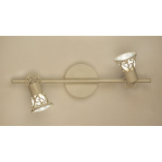 Спот Citilux Винон CL519525