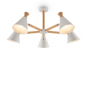 Потолочная люстра Freya Rise FR5169PL-05W