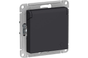 Розетка с заземлением с крышкой карбон Systeme Electric AtlasDesign ATN001046