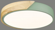 Потолочный светодиодный светильник Velante 445-407-01