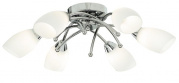 Потолочный светильник Arte Lamp Opal A8186PL-6CC