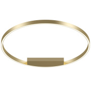 Потолочный светильник Maytoni Technical Rim MOD058CL-L50BS4K